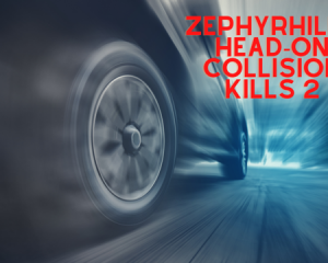 Zephyrhills Head-On Collision Kills 2